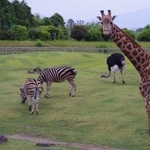 園内に入ると早速「におい」が…(平川動物公園提供)