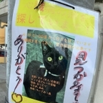 今年4月中旬ごろ、突然レンタカー店から飛び出して行方不明になったという熊吉くん。写真入りのチラシを作成、電信柱などに貼り回って目撃情報を呼び掛けたという(提供写真)