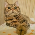 パルルちゃん、何を見てるのかな?