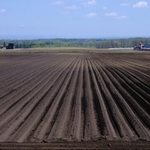 北海道で土を口にしてはいけない理由とは(※イメージ画像)
