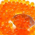 プリン体をたっぷり含んでそうなイメージがあるいくらですが…(イメージ画像)