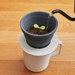 芽に水をやる感覚で育てよう(提供)