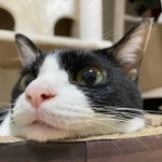 可愛らしさに磨きがかかってきた