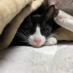 寒くなったからぬくぬく