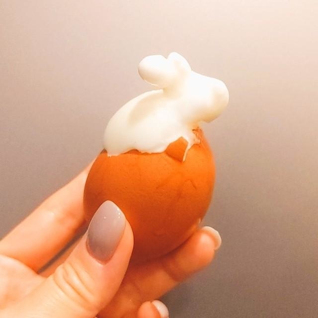 ゆで卵からウサギが産まれた!?(提供)