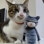 お友達が作ってくれたミルキーちゃんのぬいぐるみと。似てる?