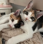 姉妹一緒に暮らせて幸せ