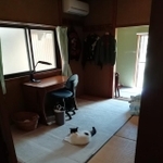 下宿先に戻ってしまった息子さんの部屋で待ち続ける猫の後ろ姿がTwitter上で話題になった(提供写真)