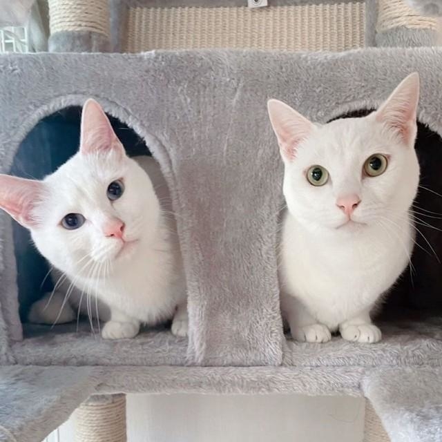 とにかく仲良し