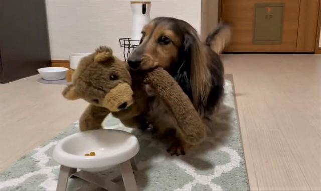 くまさんのぶん、ご飯ちょっと残しといたよ!(るのんさん提供、Twitterよりキャプチャ撮影)