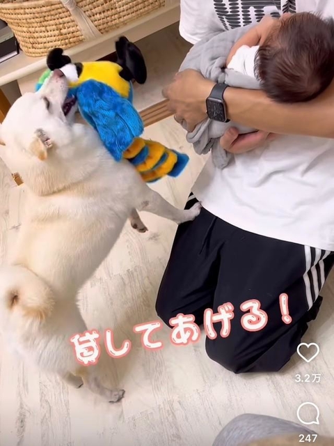 (投稿よりスクショ)