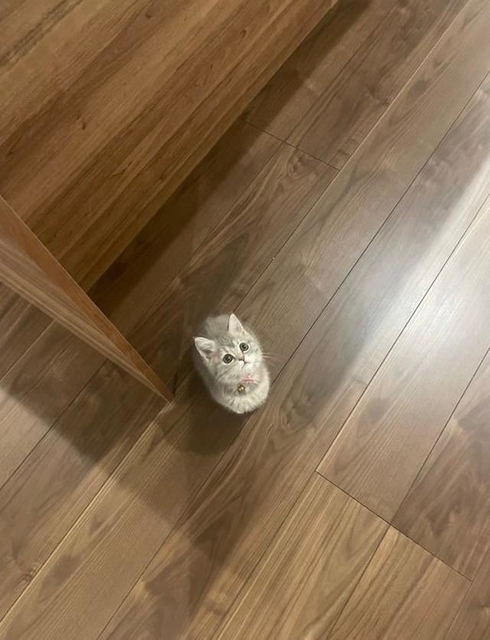 尊い…!!(画像提供:おんぷちゃんさん)