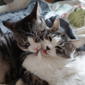 珊瑚くん(左)は梯梧(でいご)ちゃん大好き。愛が重過ぎる・・・? 珊瑚くん(左)は梯梧(でいご)ちゃん大好き。愛が重過ぎる・・・?