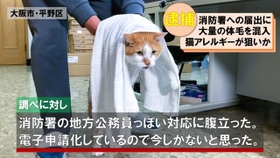 逮捕されちゃったニャ=青木防災(株)【公式】(@aokibosai)提供 逮捕されちゃったニャ=青木防災(株)【公式】(@aokibosai)提供