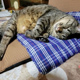 睡眠不足だと太るらしいの・・・ 睡眠不足だと太るらしいの・・・