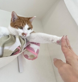 「行ってきます」とタッチ! 「行ってきます」とタッチ!