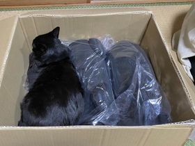 左の空いたスペースに体をねじこんだろんくん=AKRさん(@bou128)提供 左の空いたスペースに体をねじこんだろんくん=AKRさん(@bou128)提供