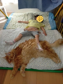 なっちゃん3歳とライちゃん=やしゅうさん(@FakeYashu)提供 なっちゃん3歳とライちゃん=やしゅうさん(@FakeYashu)提供