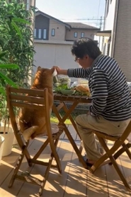 テーブルを囲んで寄り添う男性と柴犬さんの動画がTwitter上で話題に(『あさむらさん』提供、Twitterよりキャプチャ撮影) テーブルを囲んで寄り添う男性と柴犬さんの動画がTwitter上で話題に(『あさむらさん』提供、Twitterよりキャプチャ撮影)