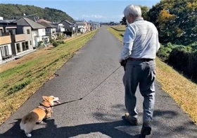 10年ぶりに犬との散歩を楽しむおじいさんの動画が話題に(つみれさん提供、Twitterよりキャプチャ撮影) 10年ぶりに犬との散歩を楽しむおじいさんの動画が話題に(つみれさん提供、Twitterよりキャプチャ撮影)