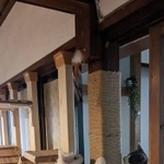 左はホア君。2匹で木登り競争だ!(提供)