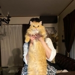 晩ご飯中、「お吸い物」として差し出されたモフモフ猫ちゃんが話題(提供写真)