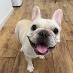 最高の笑顔を見せてくれる