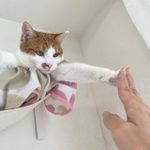 「行ってきます」とタッチ!