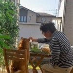 テーブルを囲んで寄り添う男性と柴犬さんの動画がTwitter上で話題に(『あさむらさん』提供、Twitterよりキャプチャ撮影)