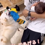 (投稿よりスクショ)