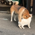 猫吸いしてる?(提供写真)