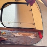 ふかふかマットの上でスヤ~(amoさん提供)