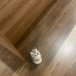 尊い…!!(画像提供:おんぷちゃんさん)