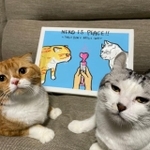 まったりやる気のないお顔?(右)、ボンクレーちゃんはお目目がキラキラ=なかむら@衣装作るよ期間さん(@NaGi_12_NK)提供