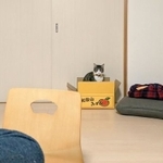 背後から熱視線が=ワカとヤマさん(@wakaandyama)提供