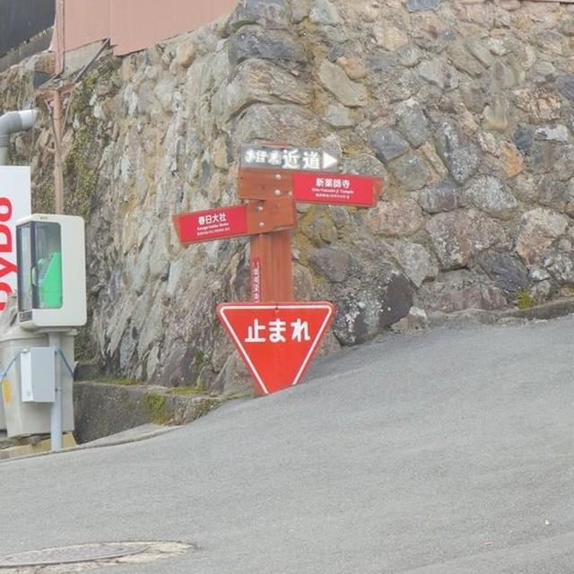 いったい誰がいつ立てたのか