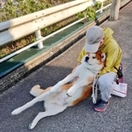 絶対に動かん!=ジャーキー屋Mummy(マミー)さん(@alcoholicsakura)提供