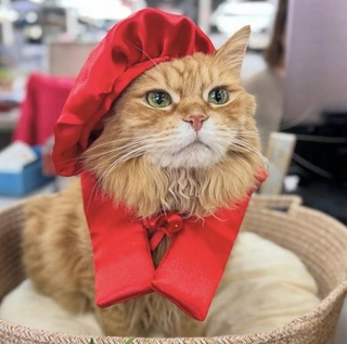 還暦のお祝いをしてもらったチャトラン副社長(画像提供:三協精器)