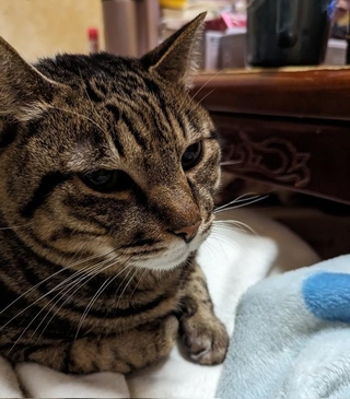 普段は「幸ちゃん」と呼んでいる