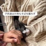 危篤の日。子どもたちはの片時もパンちゃんそばを離れず(「パンちゃんママ」さん提供、Instagramよりキャプチャ撮影)