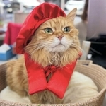 還暦のお祝いをしてもらったチャトラン副社長(画像提供:三協精器)