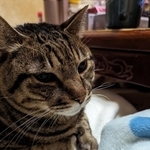 普段は「幸ちゃん」と呼んでいる