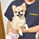 抱っこする人でこんなに違う!? 弟には満面の笑み、母のときはまさかの表情に… 犬のリアクションが話題 「ギャップすごすぎ」笑