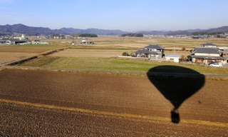 田畑に映る気球の影=加西市内(撮影・吉田敦史)