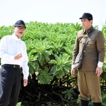 映画「島守の塔」の撮影に臨む、萩原聖人さん(左)と村上淳さん=25日午前、沖縄県うるま市の伊計島(琉球新報社)