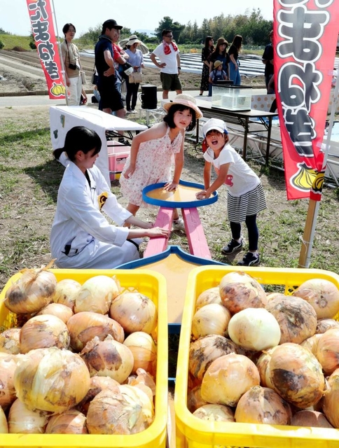 オニオンピックで“タマネギ挙げ”。こんなに重いの上がるかな?=淡路ファームパーク・イングランドの丘 オニオンピックで“タマネギ挙げ”。こんなに重いの上がるかな?=淡路ファームパーク・イングランドの丘