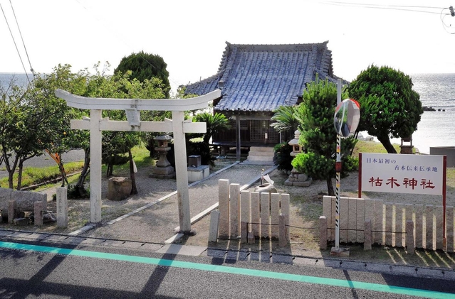 播磨灘沿いにたたずむ枯木神社=淡路市尾崎 播磨灘沿いにたたずむ枯木神社=淡路市尾崎