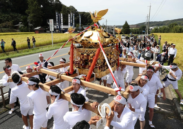 東田地区の氏子が神輿を担ぎ、伊勢音頭に合わせてお旅所へ。その脇には山田錦が実る=三木市吉川町稲田 東田地区の氏子が神輿を担ぎ、伊勢音頭に合わせてお旅所へ。その脇には山田錦が実る=三木市吉川町稲田