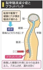神戸新聞NEXT 神戸新聞NEXT