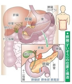 神戸新聞NEXT 神戸新聞NEXT